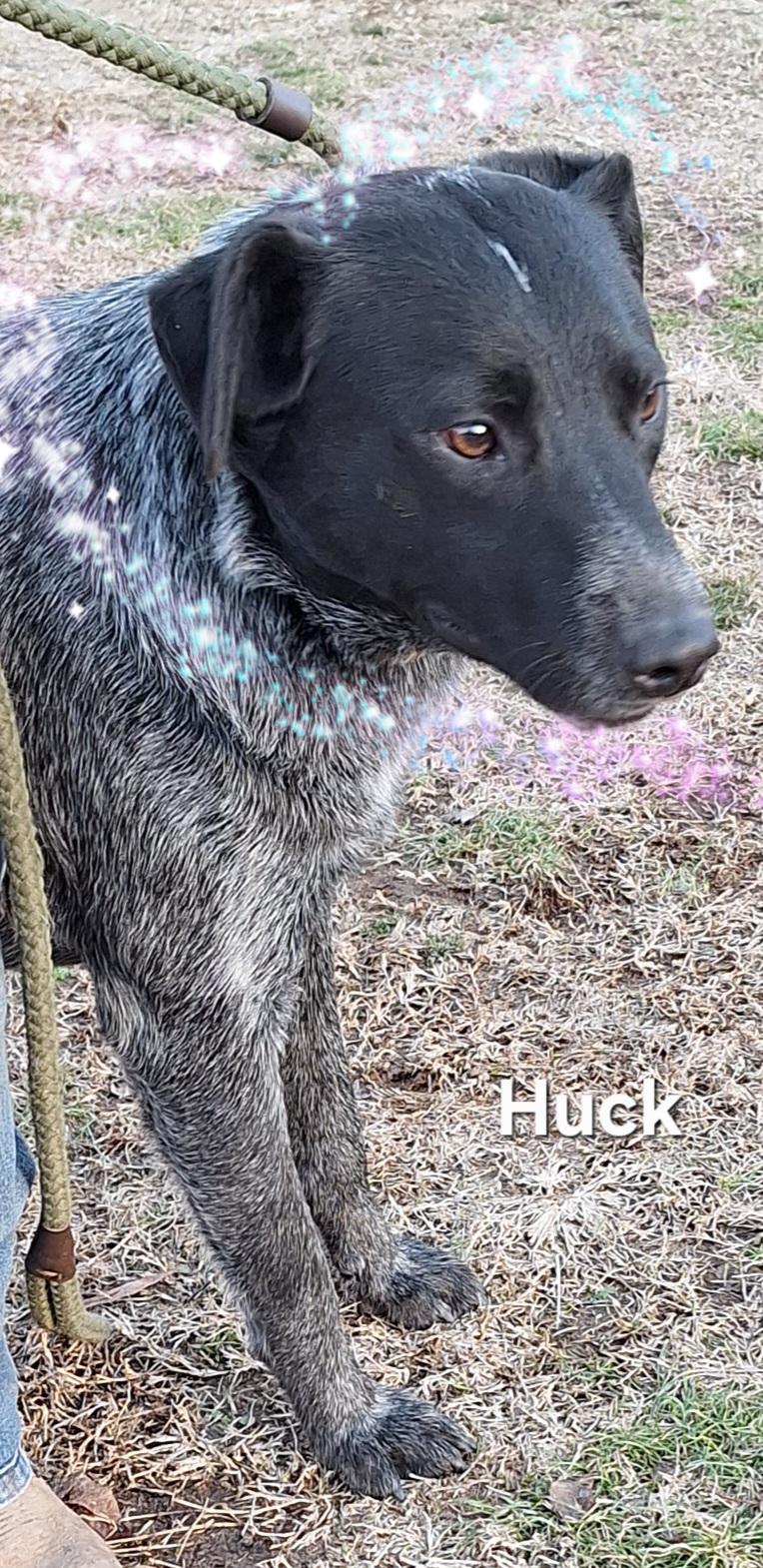 Huck photo 5