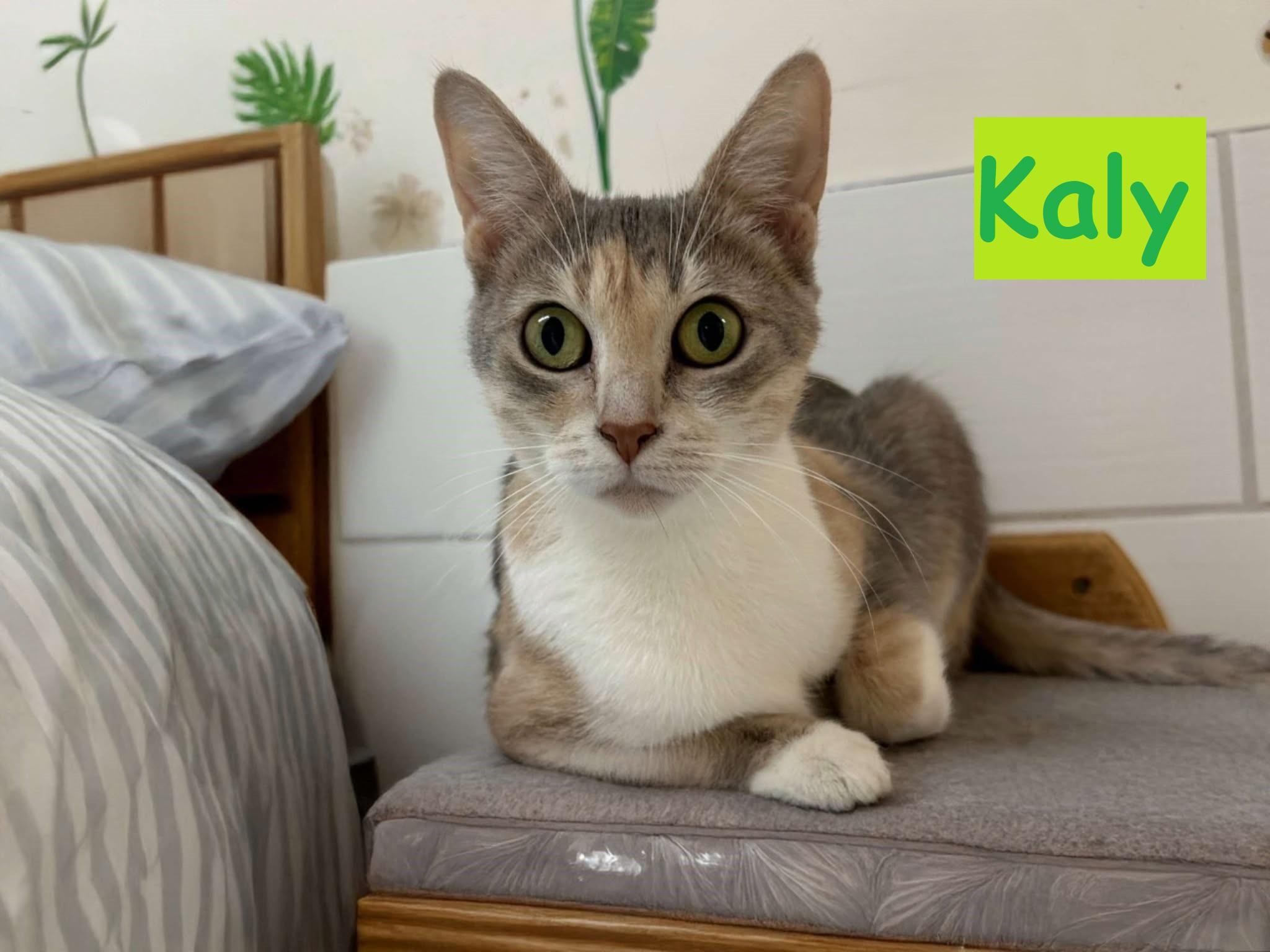 Kaly photo 2