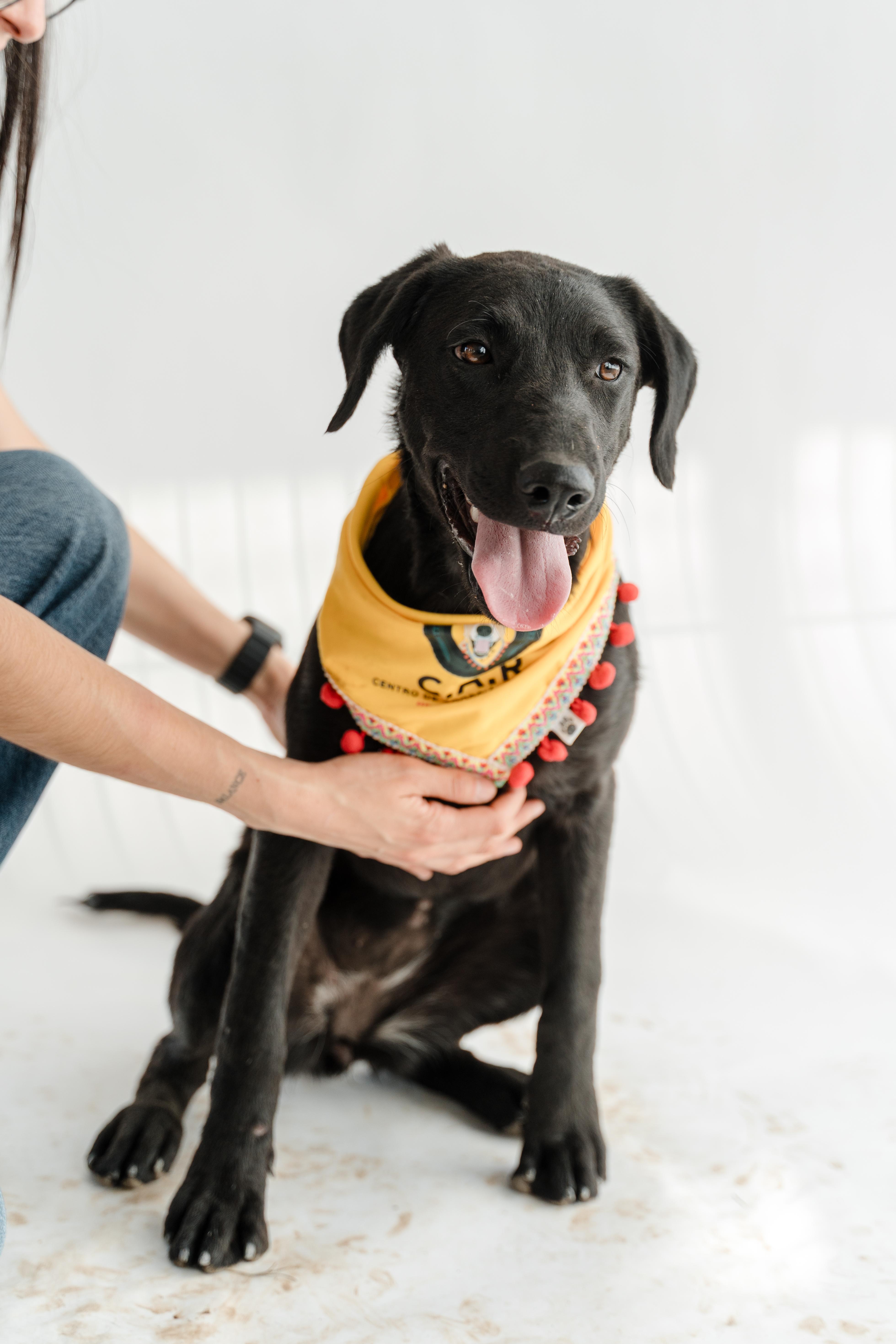 Morita — thumbnail 5