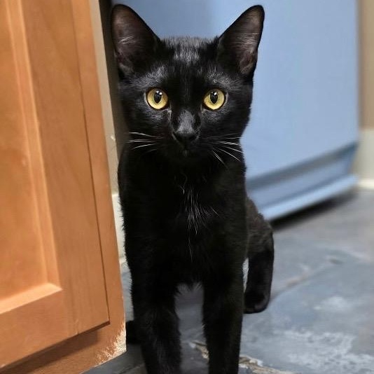Salem