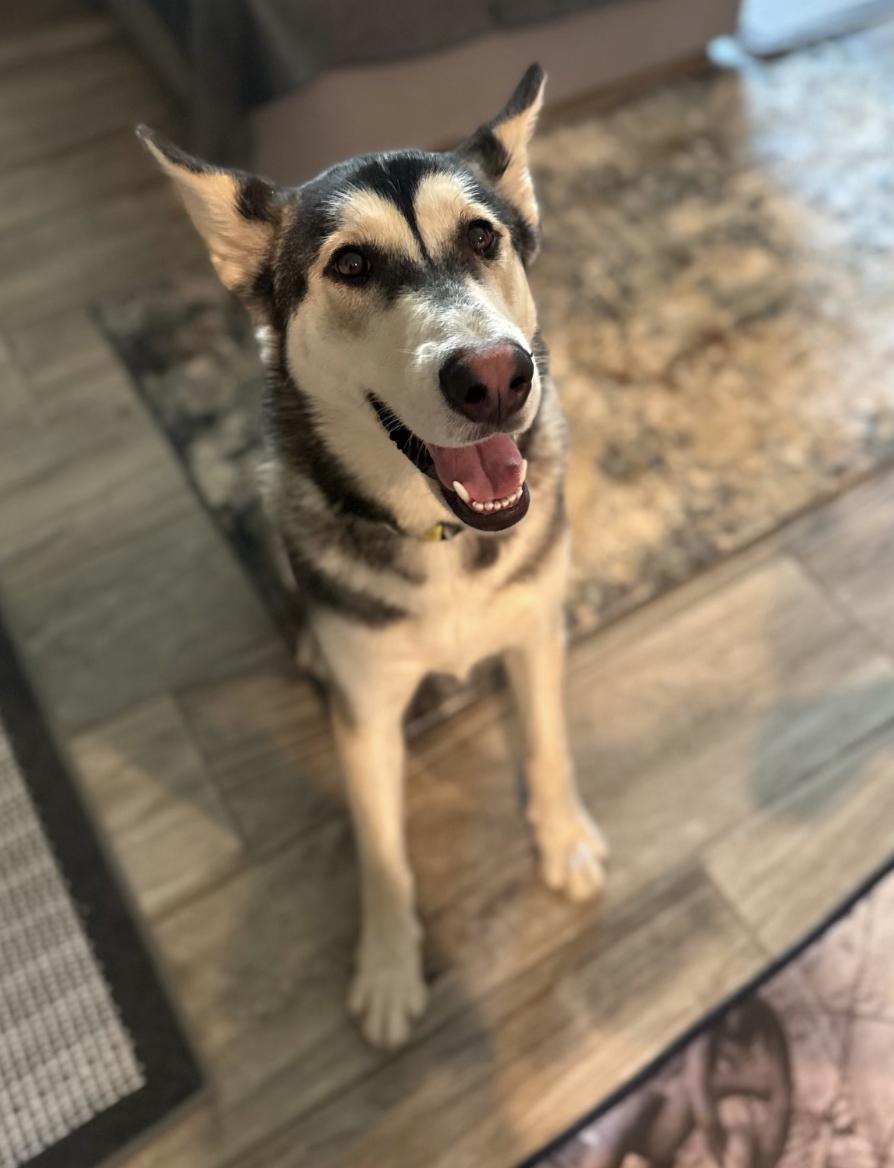 Callie (is currently in Portland, OR)