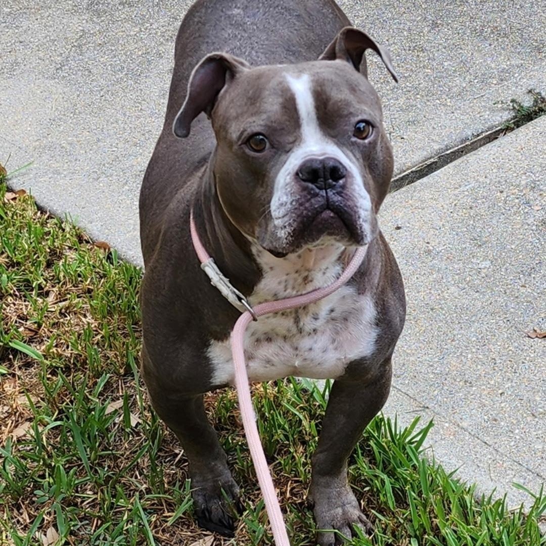 Hershey — thumbnail 4