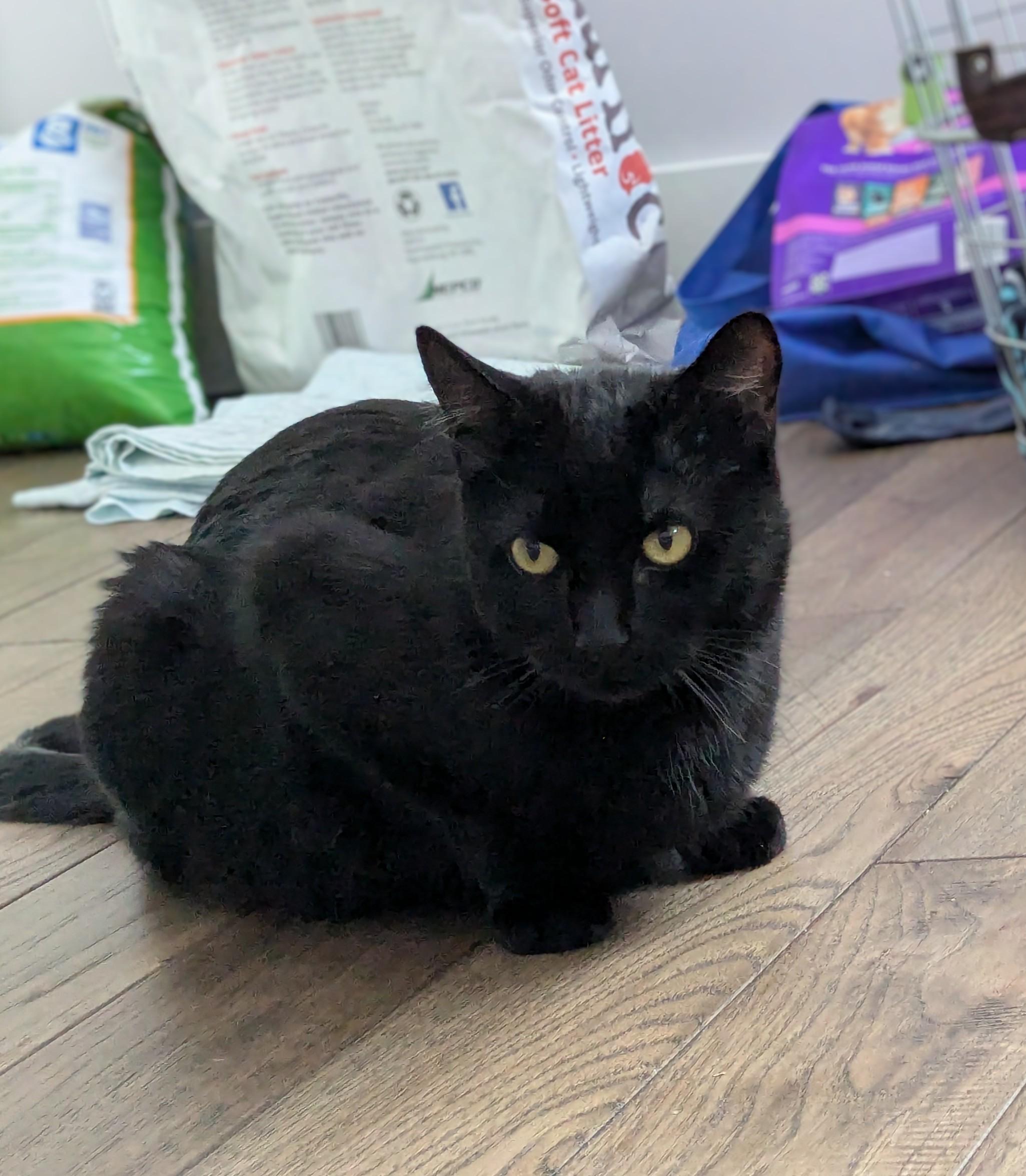 Lana — thumbnail 2