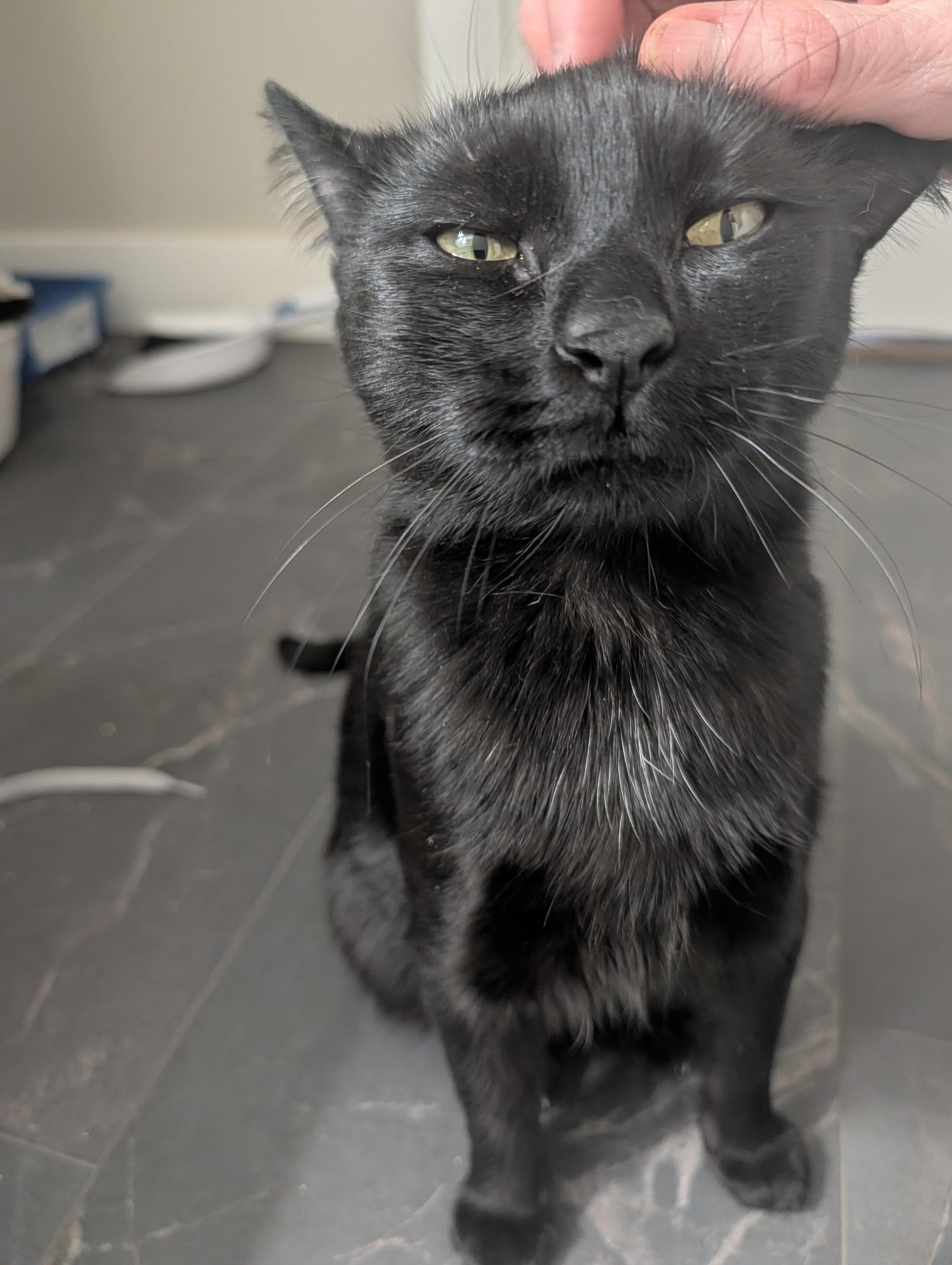 Lana — thumbnail 5