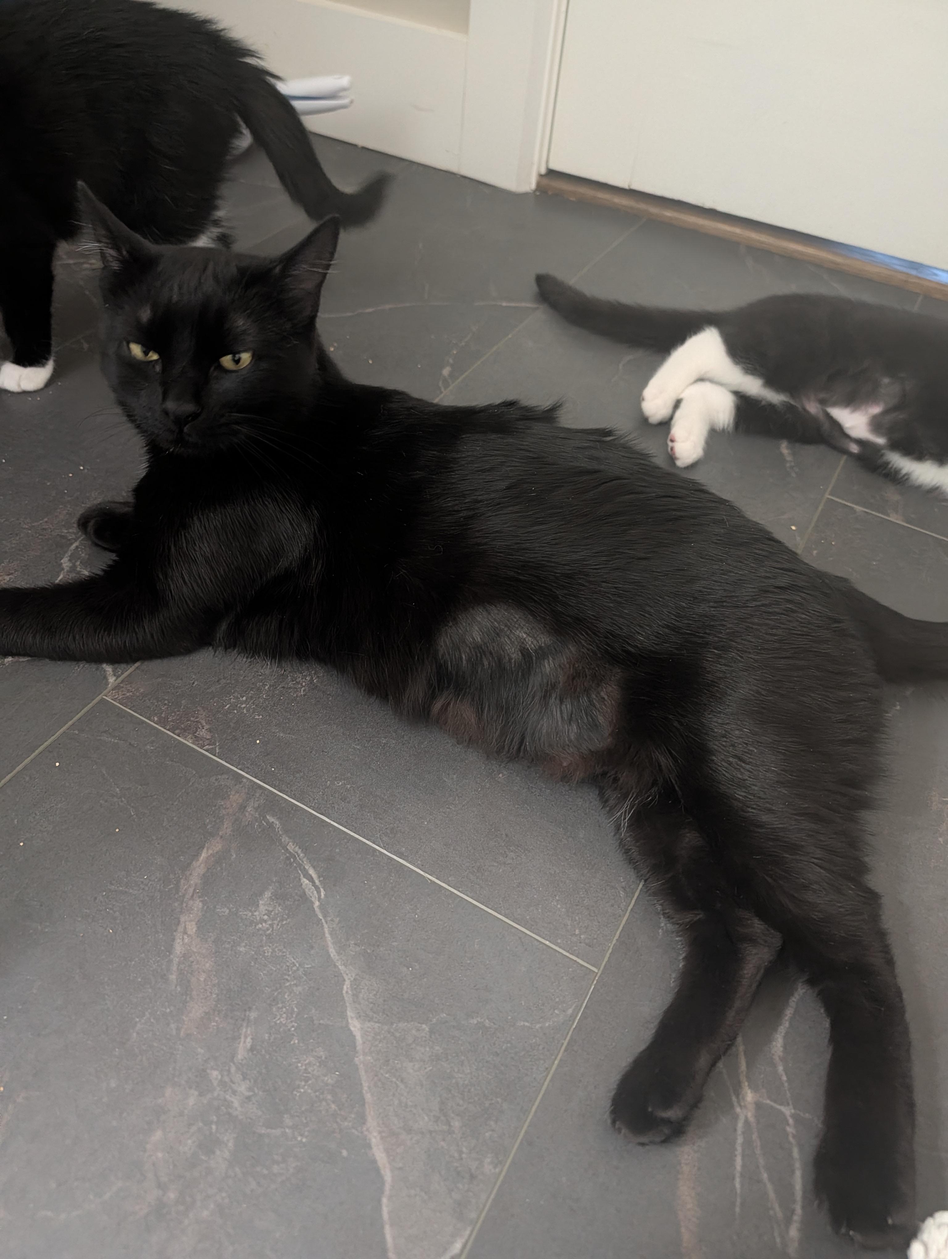 Lana — thumbnail 6