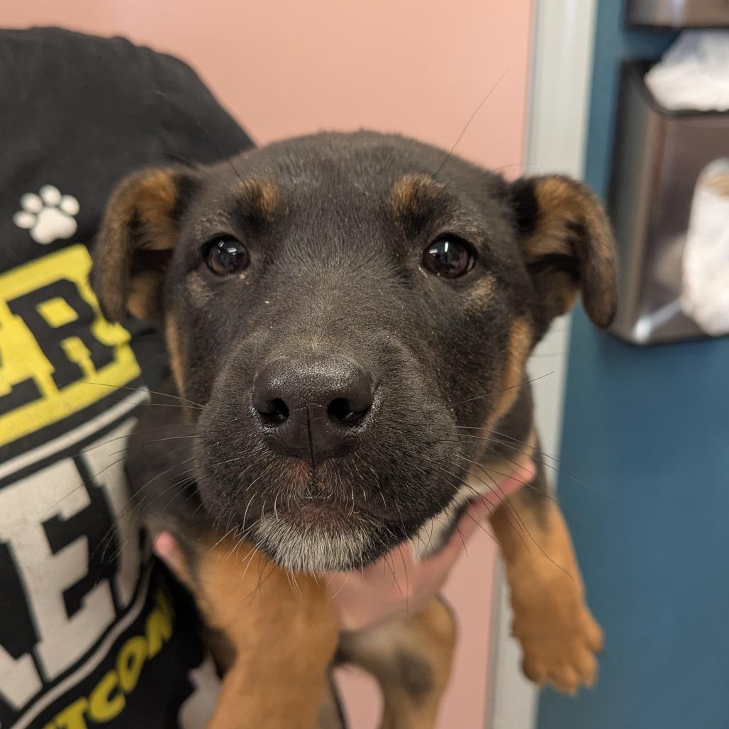 Brynn — thumbnail 2