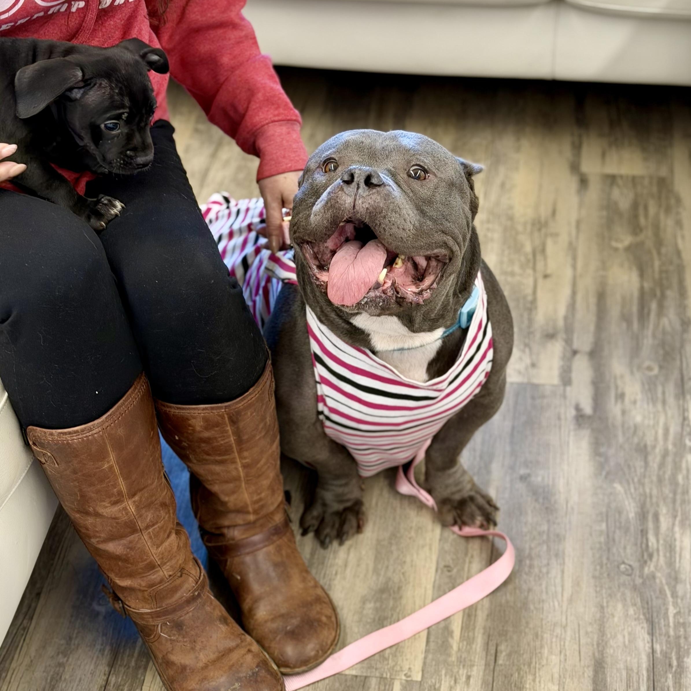 Aries 0125 — thumbnail 2