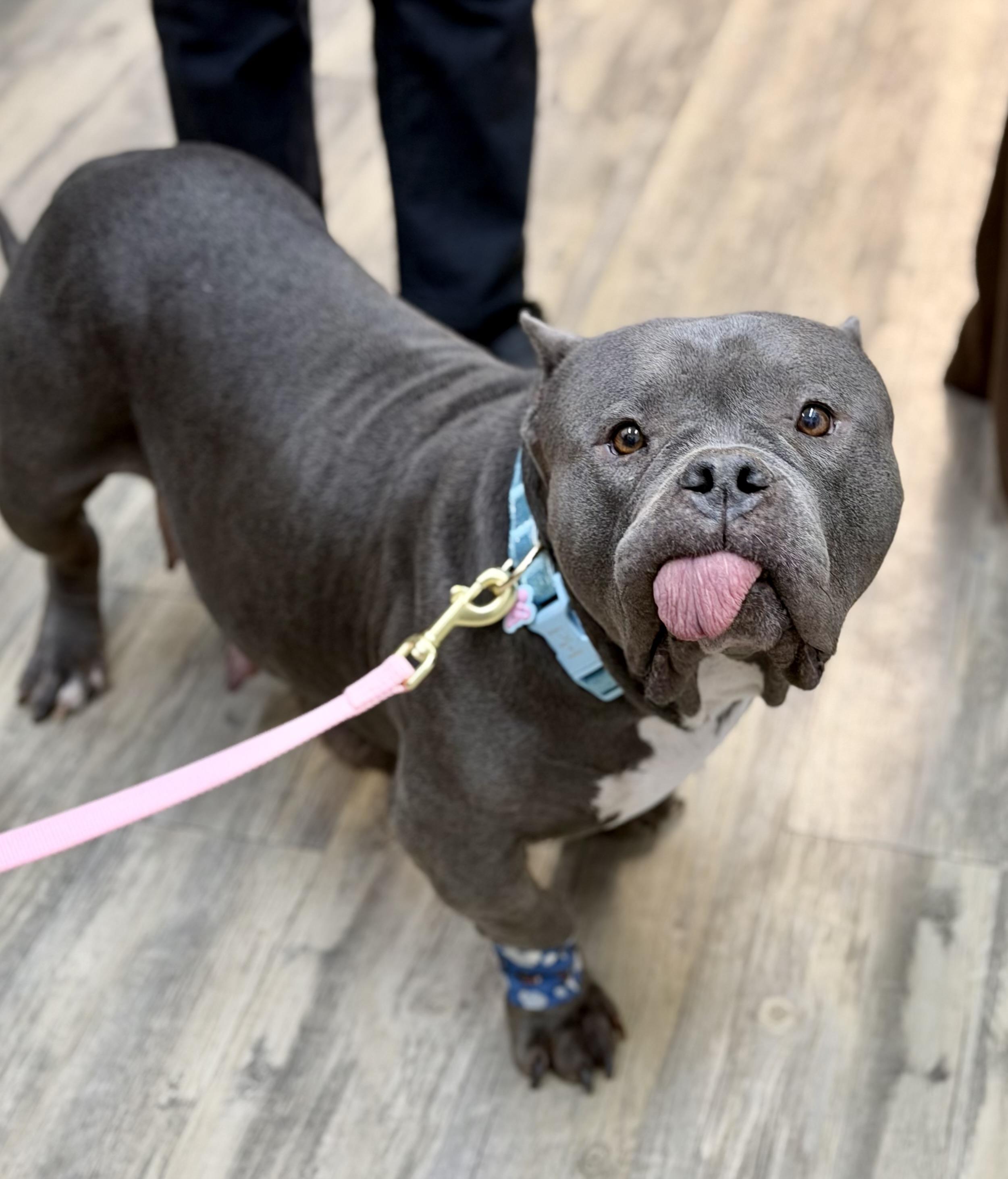 Aries 0125 — thumbnail 3