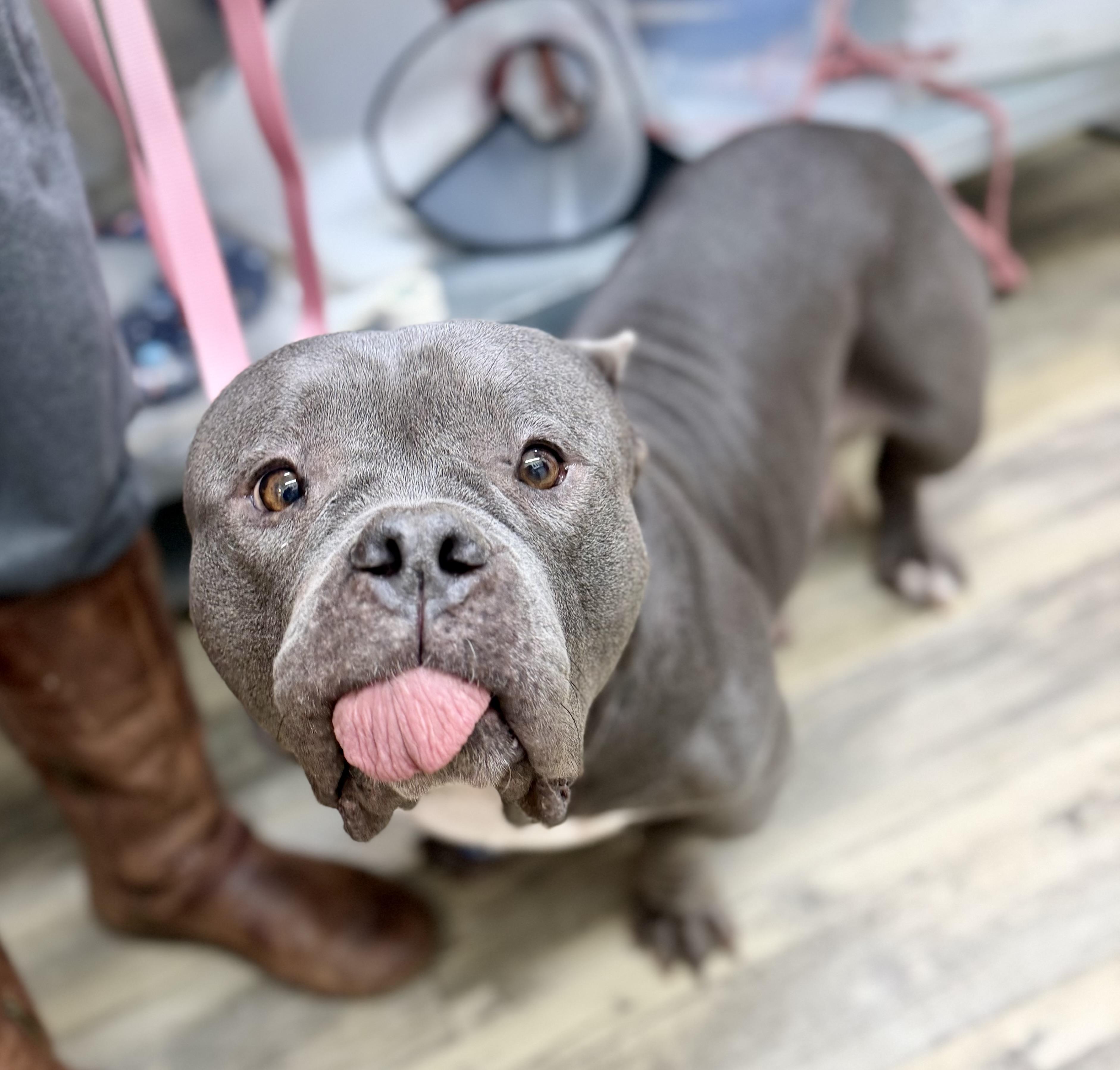 Aries 0125 — thumbnail 4