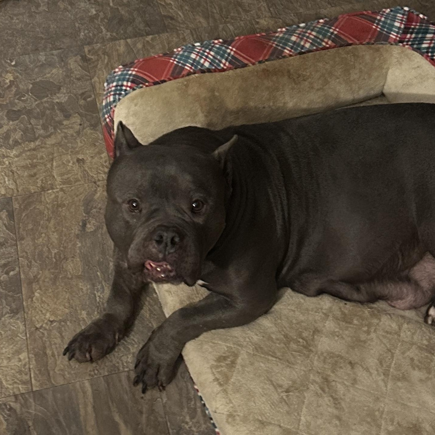 Aries 0125 — thumbnail 5