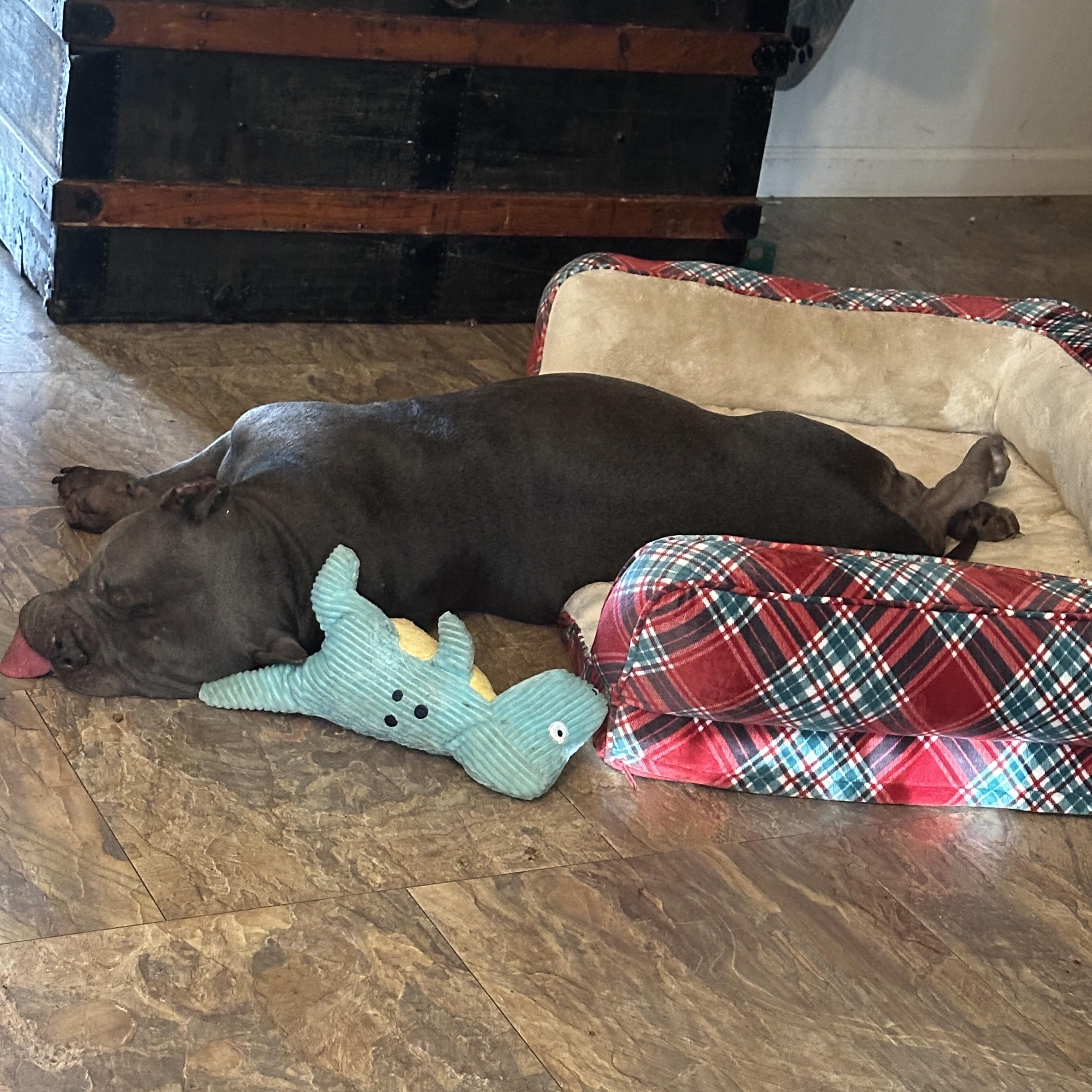 Aries 0125 — thumbnail 6