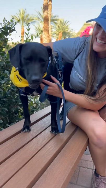 Enlarge Cash, a Adoptable mixed breed in Palm Springs, CA video 5/6