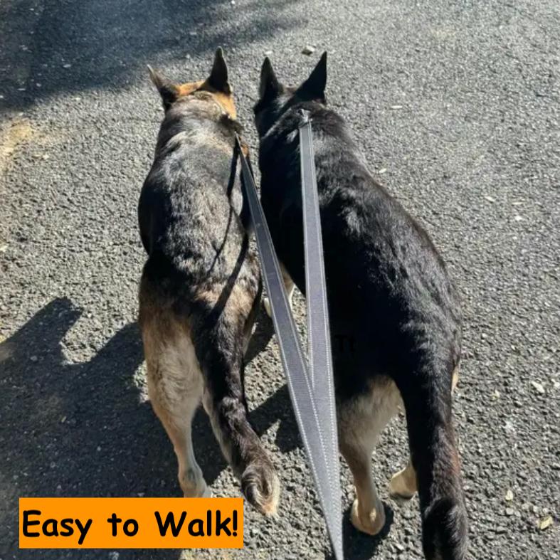 Flopsy T, a Adoptable German Shepherd Dog in San Juan Bautista, CA image 1/6