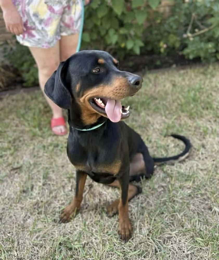 Sundance Kid thumbnail 3