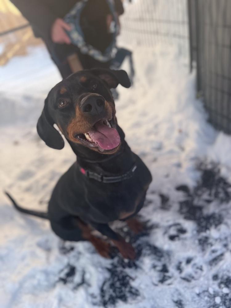 Sundance Kid thumbnail 4