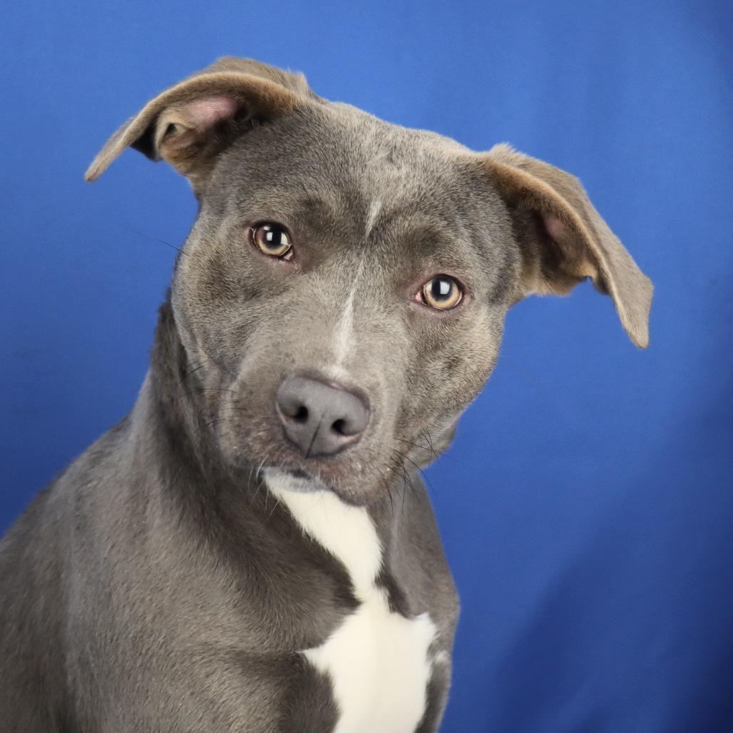 Lionel  T thumbnail 4