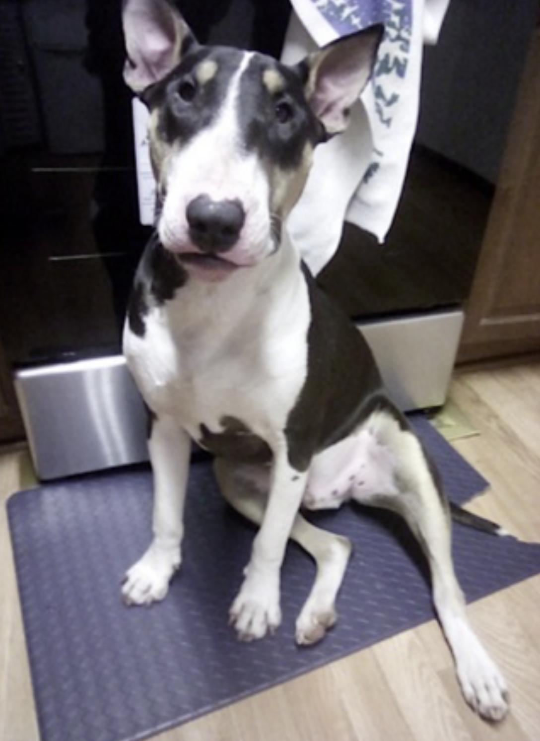 Zero — thumbnail 3