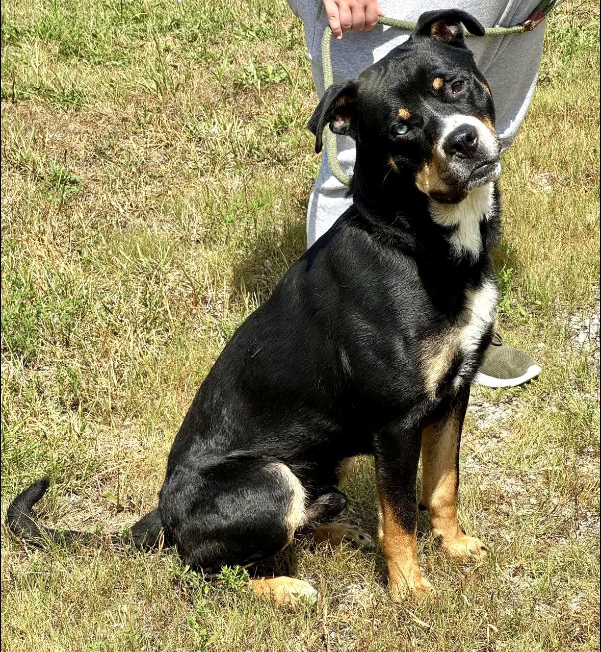 RIGGS