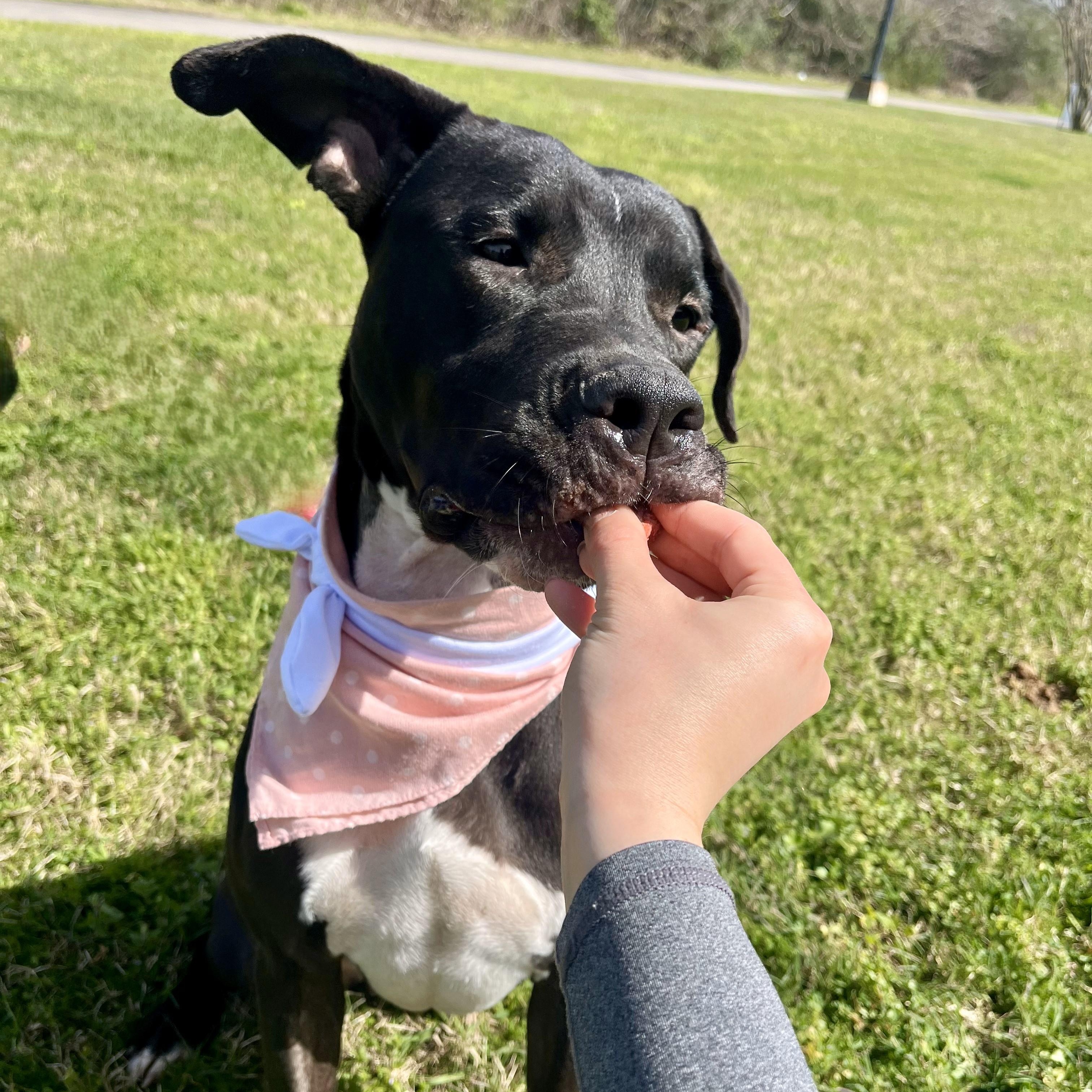 Cherry Cruz — thumbnail 5