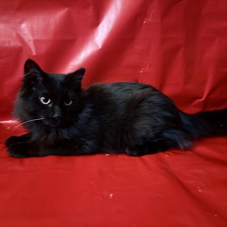 Glitch — thumbnail 2