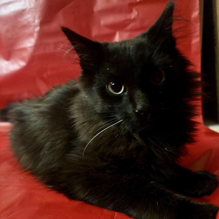 Glitch — thumbnail 3