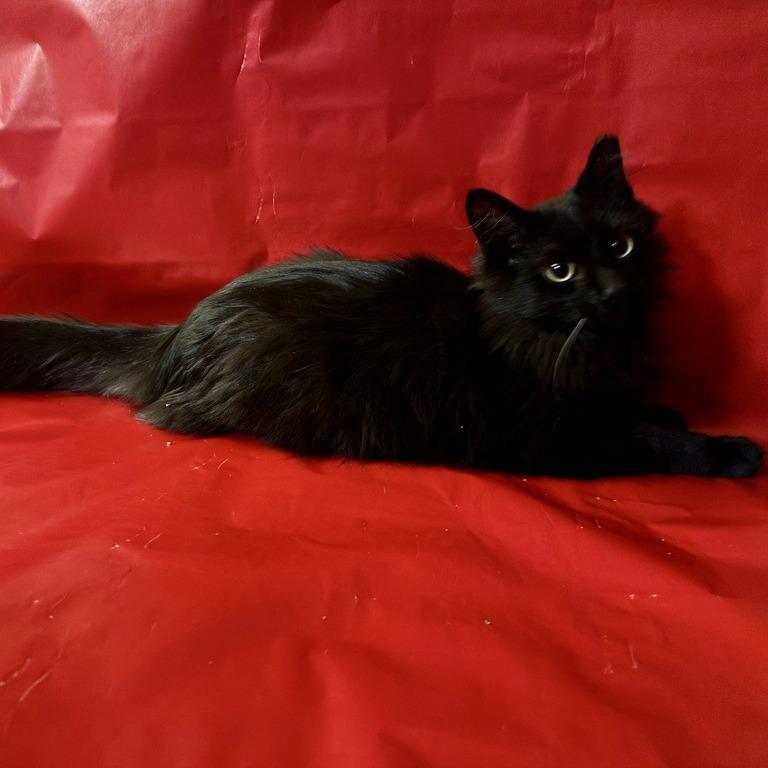 Glitch — thumbnail 5