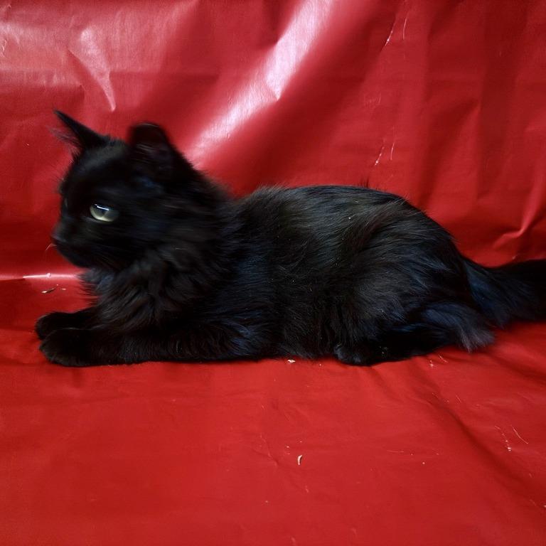 Glitch — thumbnail 6