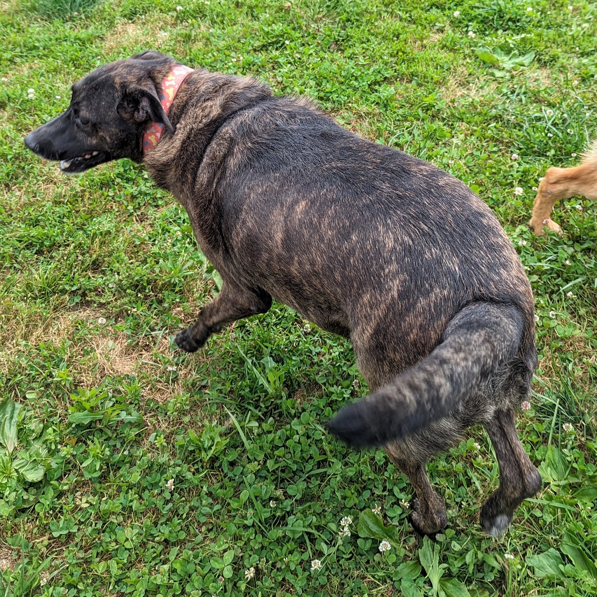 Zena photo 4