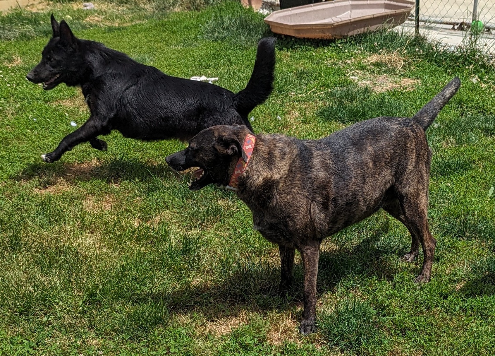 Zena photo 3