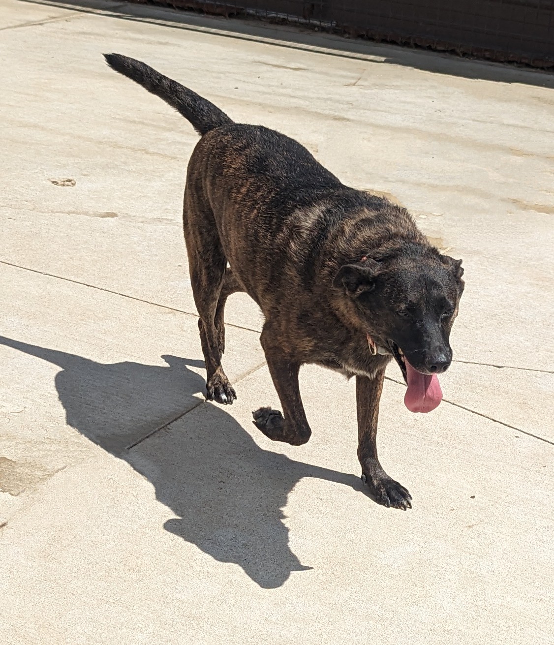 Zena photo 5