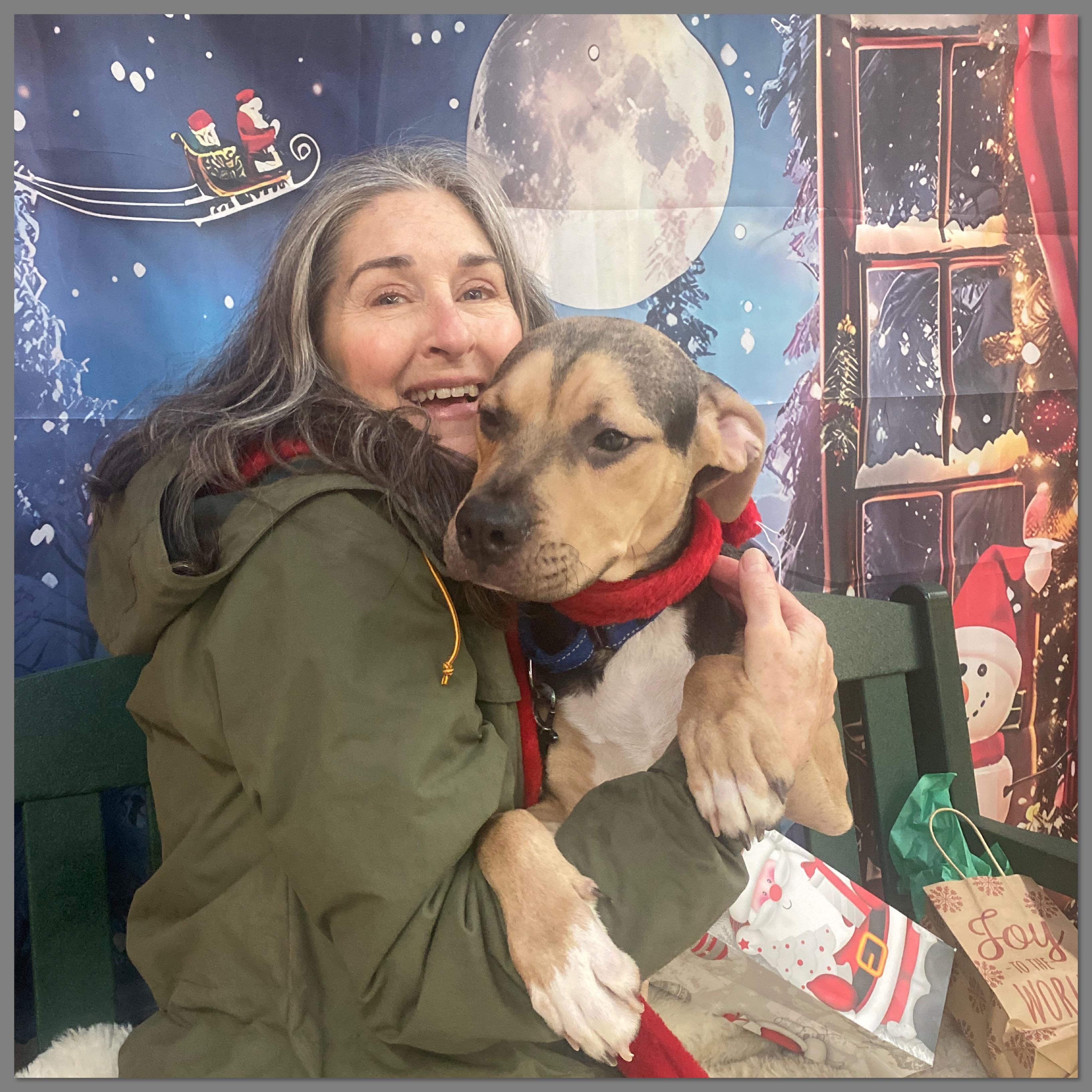 Enlarge Chocolate , a Adoptable Mixed Breed in Elyria, OH image 3/4