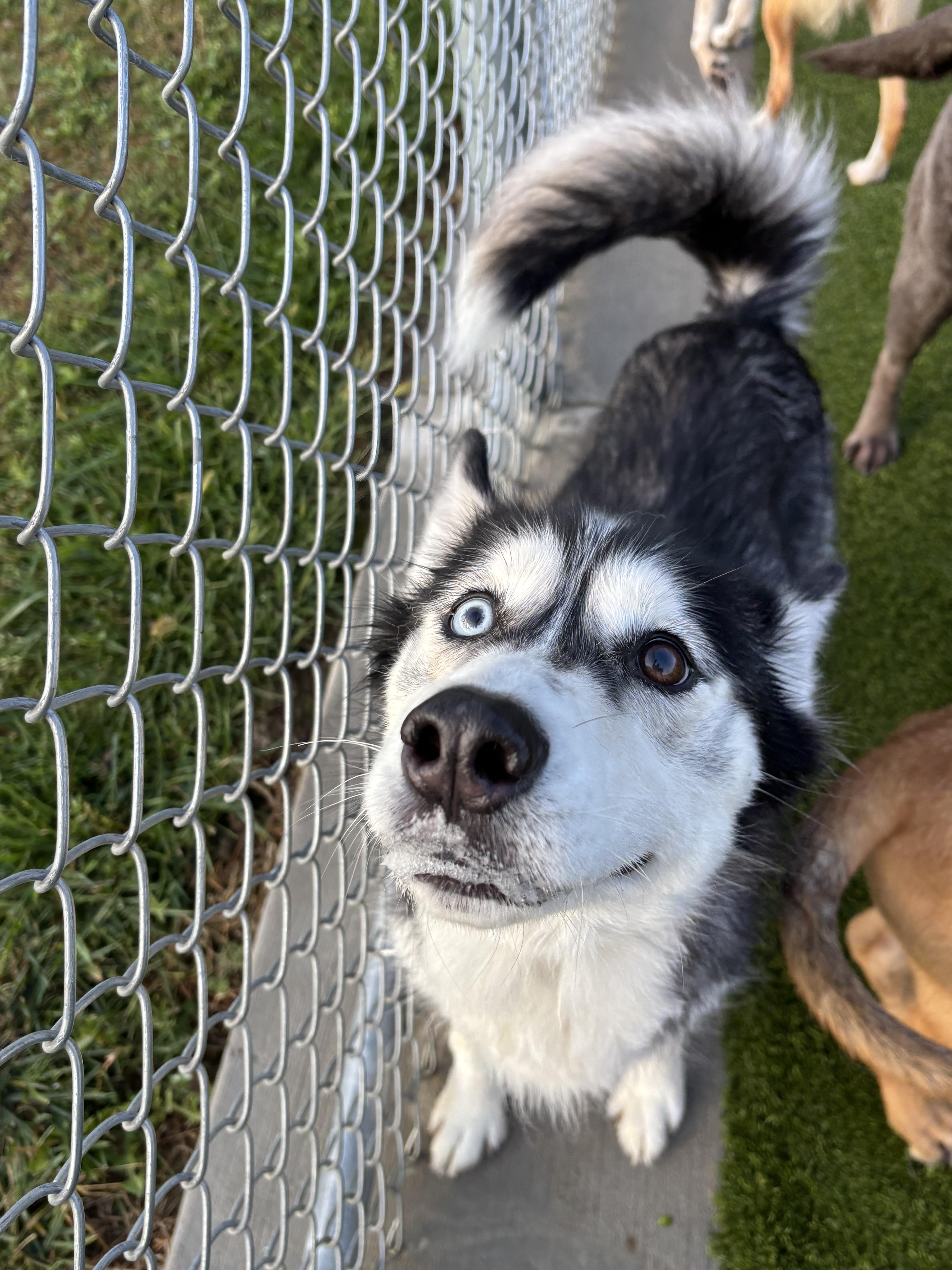Luna