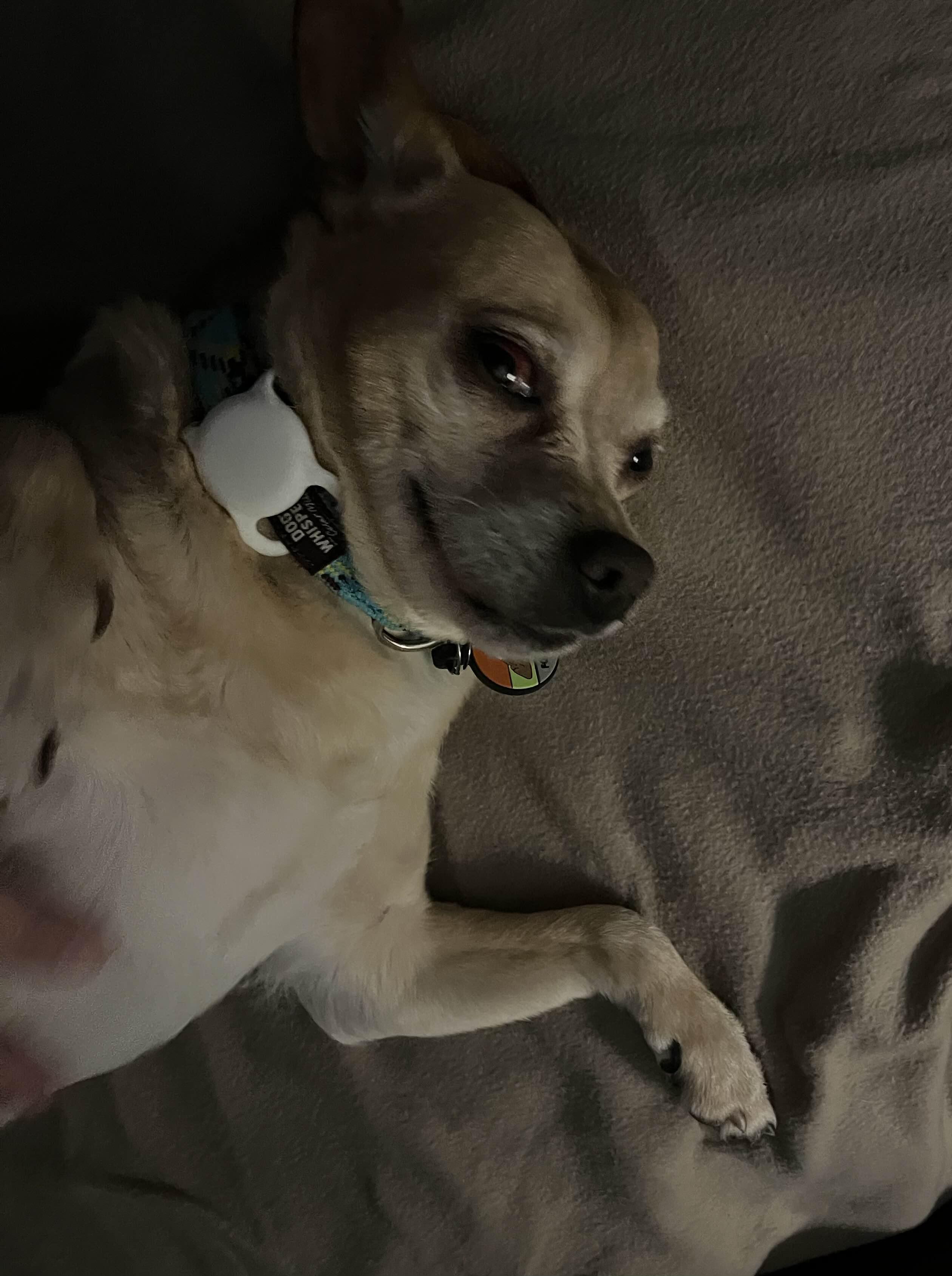 Allen — thumbnail 3