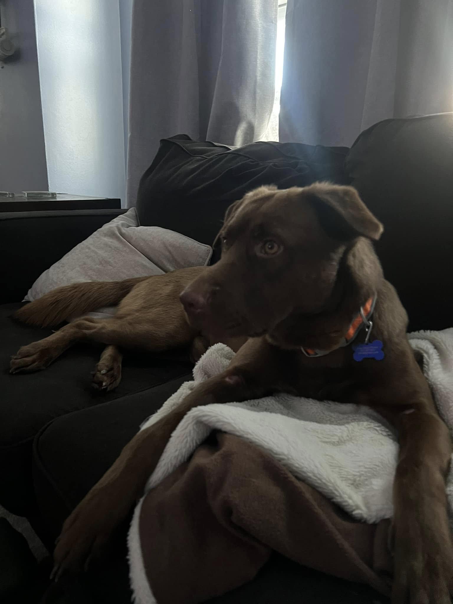 Hershey