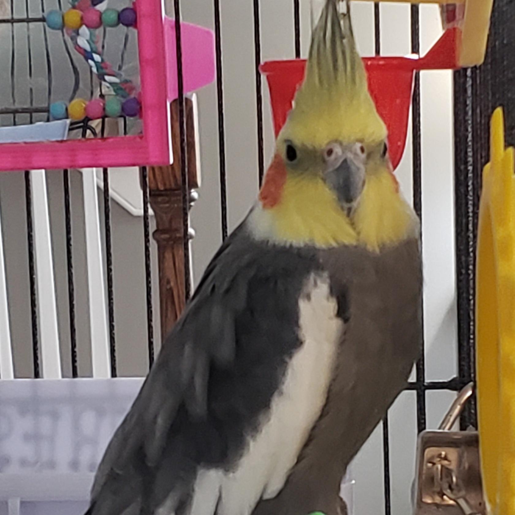 Arthur photo 2