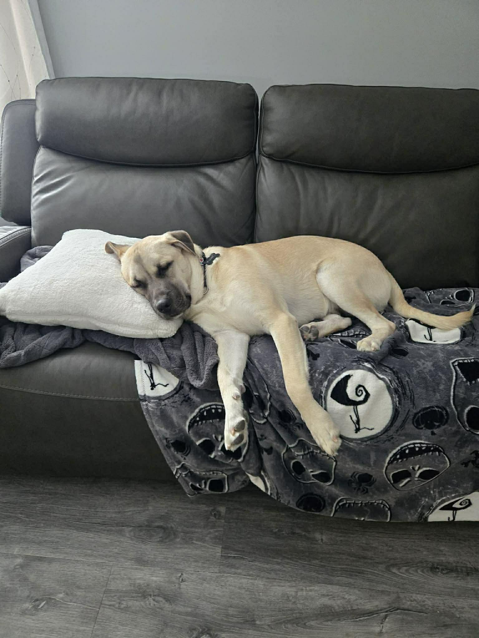 Pearce (20251204-07) — thumbnail 2