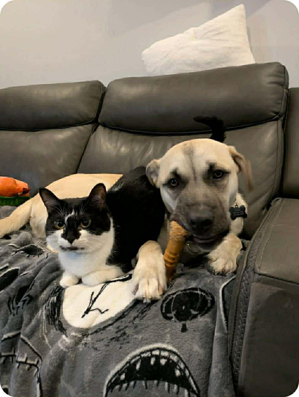 Pearce (20251204-07) — thumbnail 4