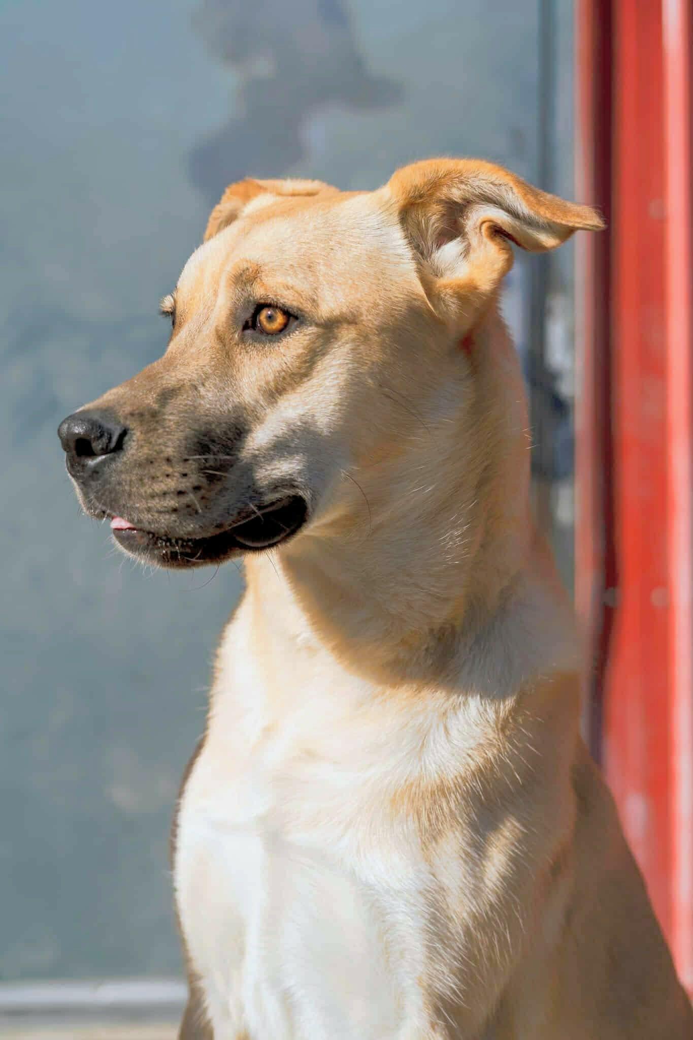 Pearce (20251204-07) — thumbnail 6