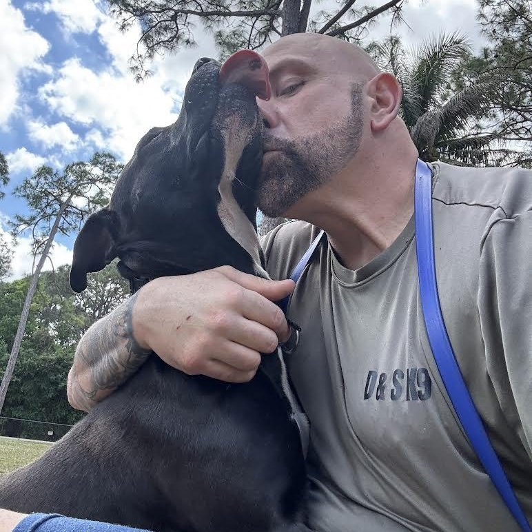 Rocky, a Adoptable mixed breed in Boston, MA image 1/6