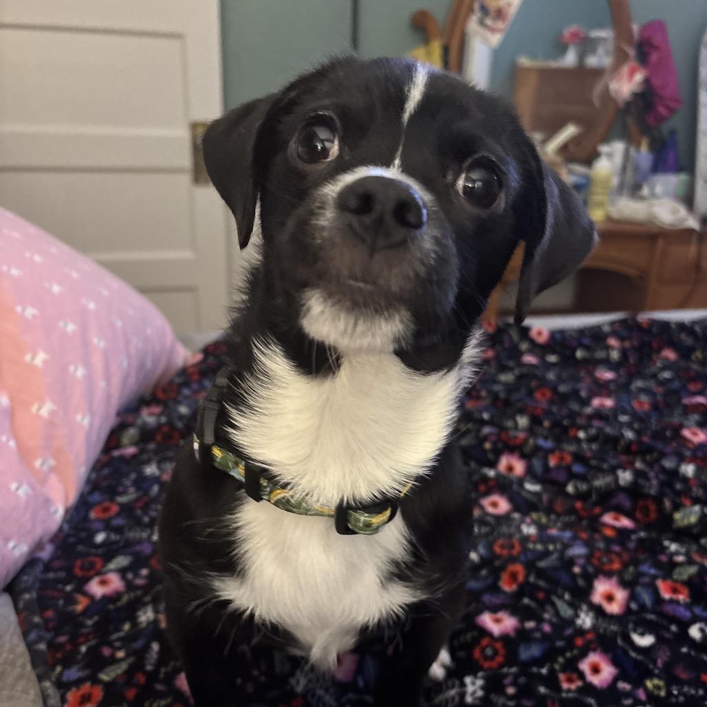 Frick — thumbnail 2