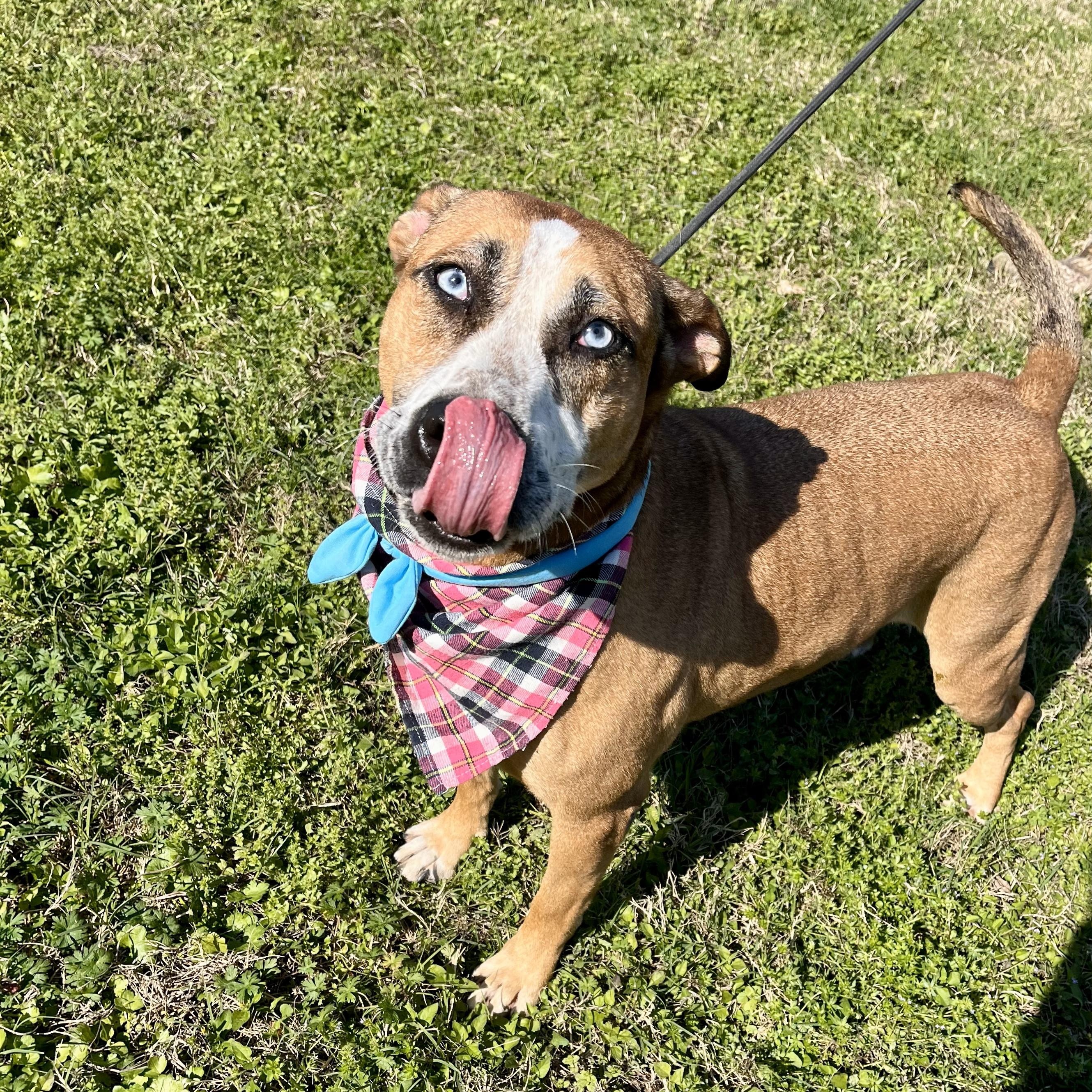 Ember — thumbnail 3