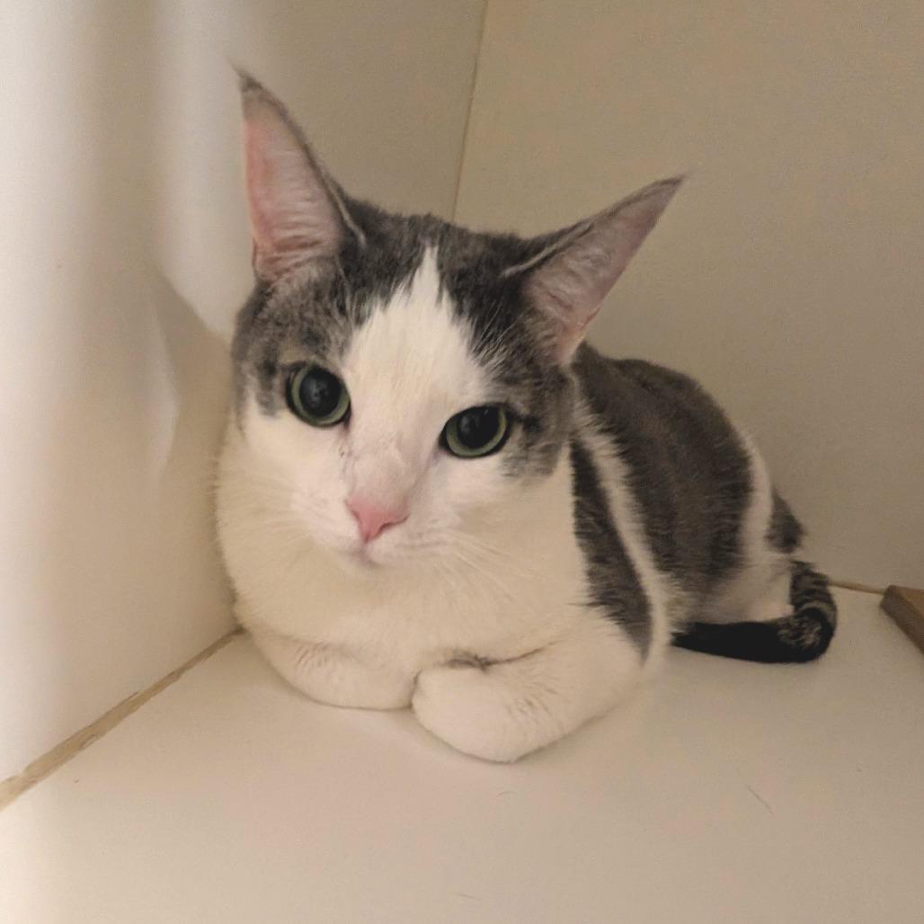 Mars - City of Industry Location