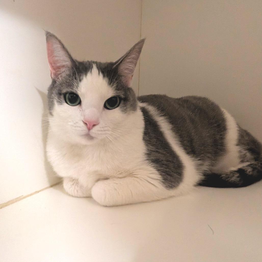 Mars - City of Industry Location — thumbnail 2