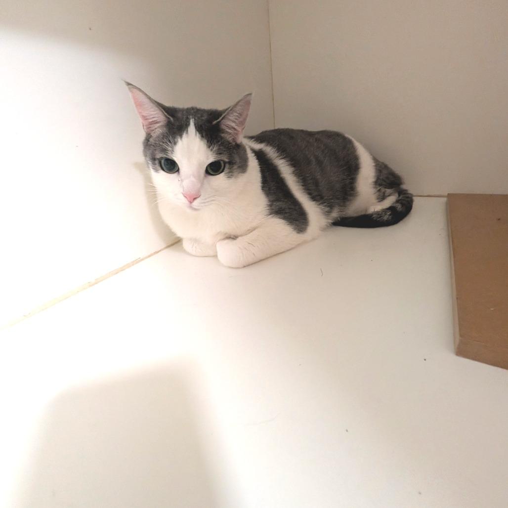 Mars - City of Industry Location — thumbnail 3