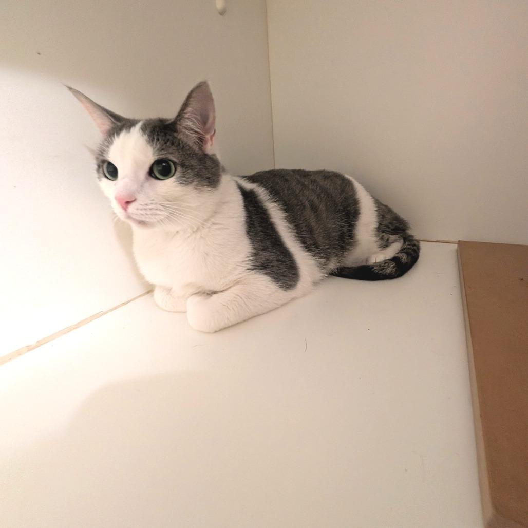 Mars - City of Industry Location — thumbnail 5