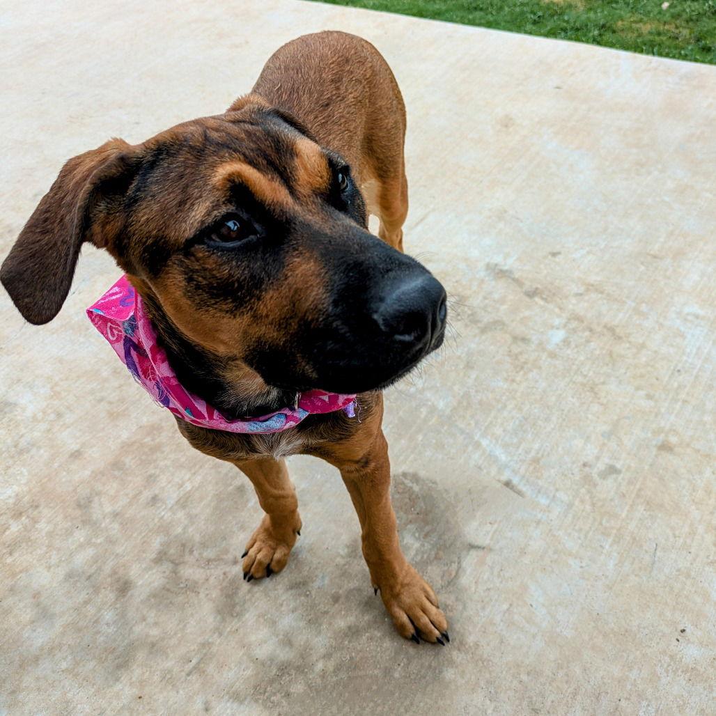 Shasta Gail (New Digs) — thumbnail 2