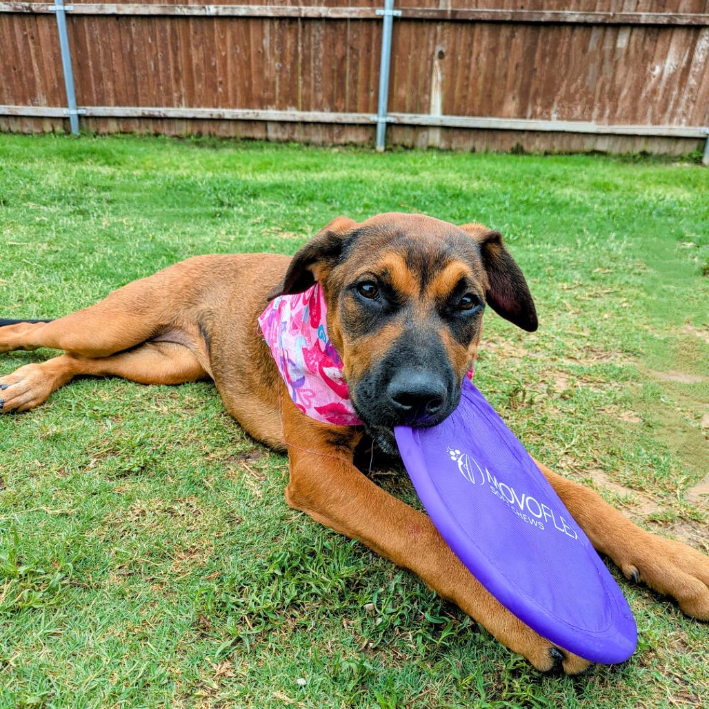 Shasta Gail (New Digs) — thumbnail 3