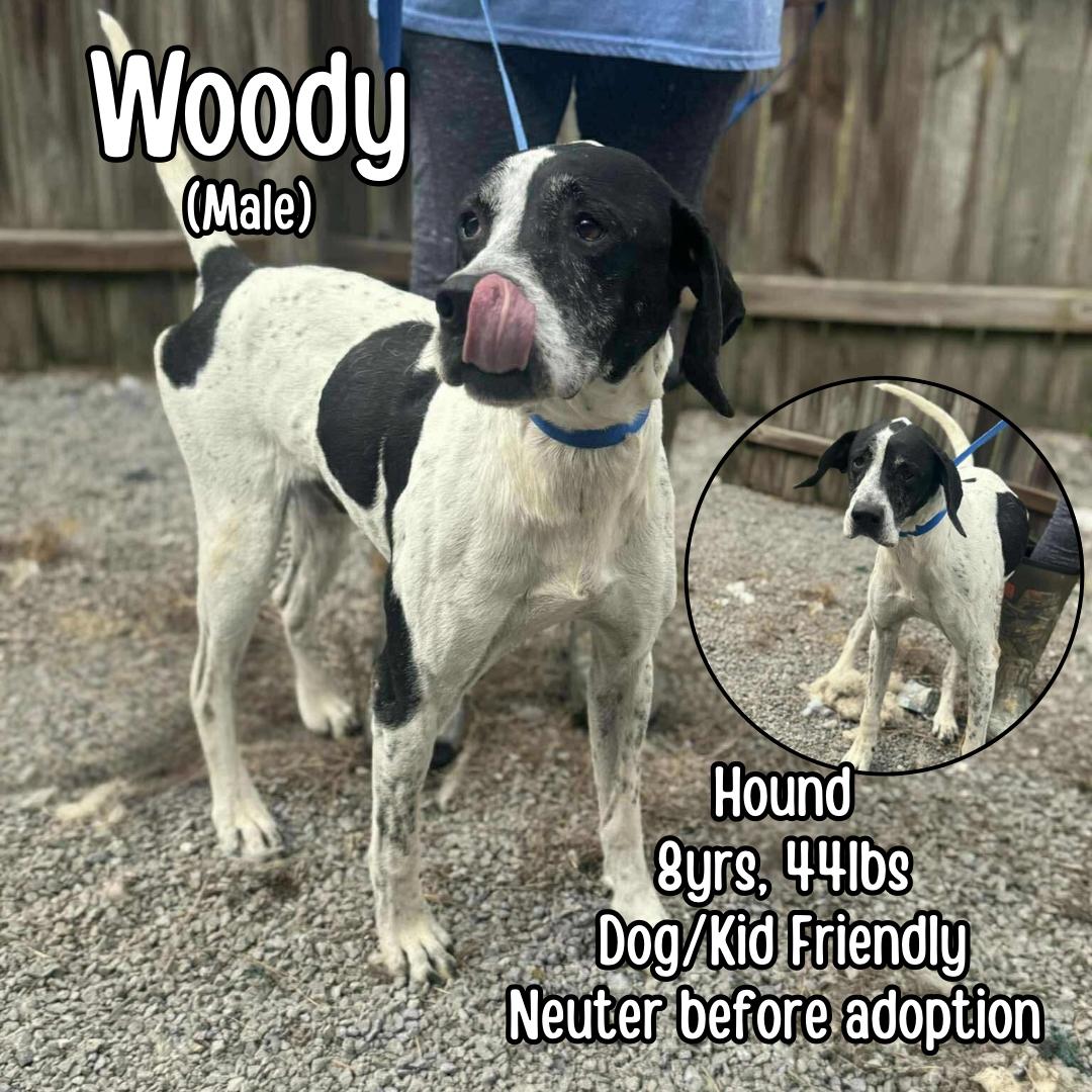 Woody