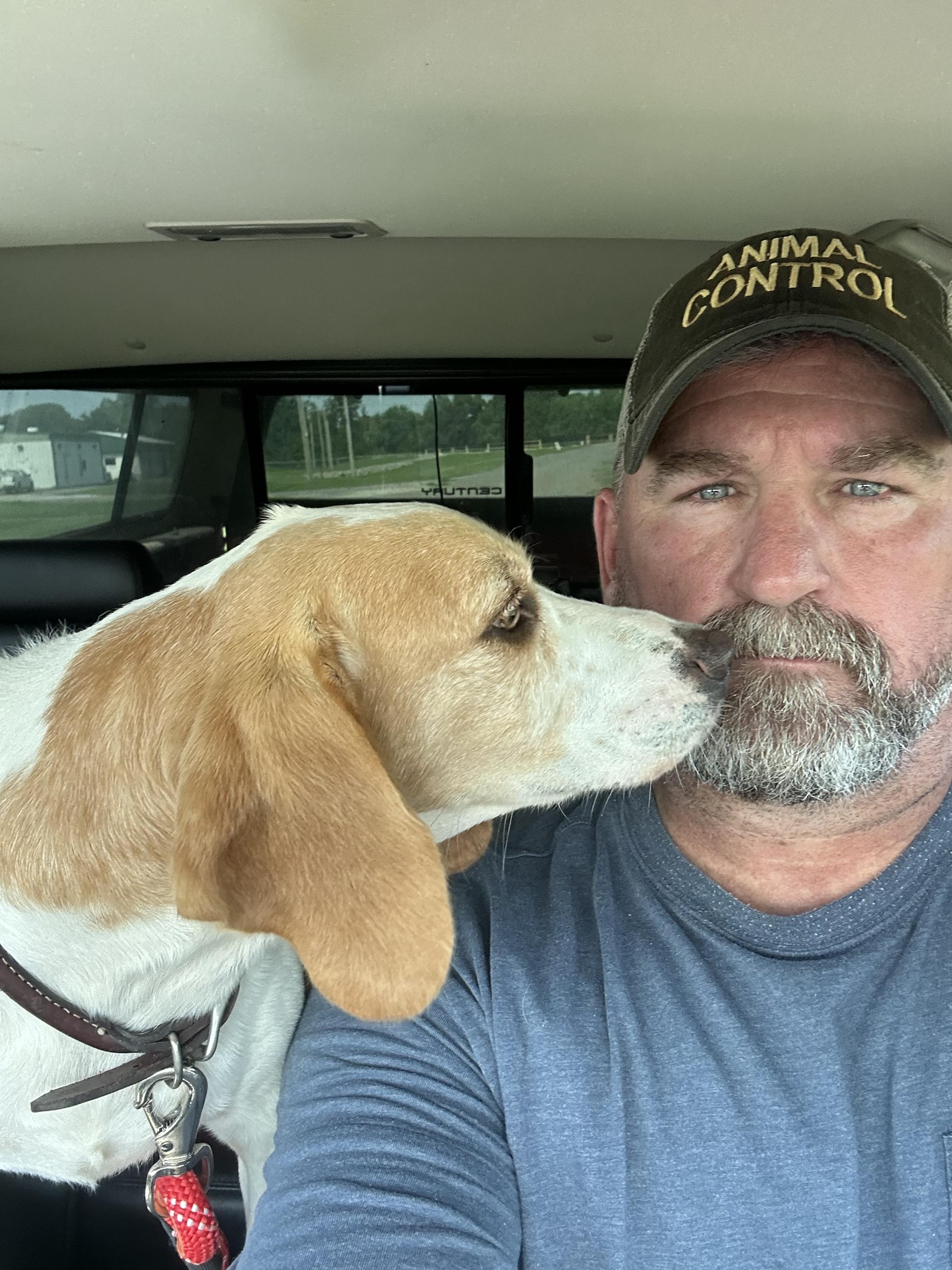 Rebel, a Adopted Beagle in Muskogee, OK image 4/6