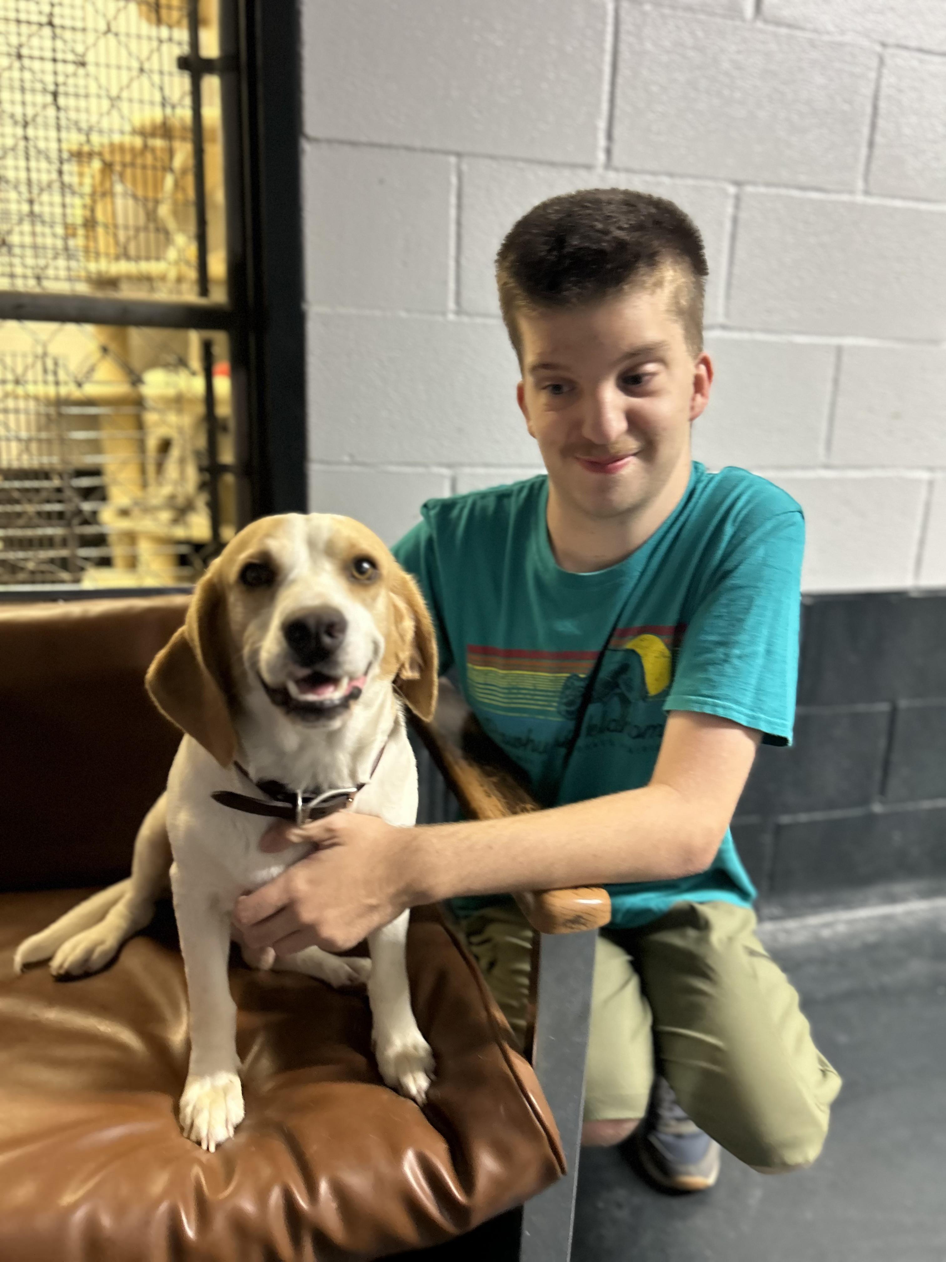 Rebel, a Adopted Beagle in Muskogee, OK image 6/6